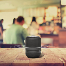 Wireless Bluetooth Speaker Tronsmart T6 Mini (black)
